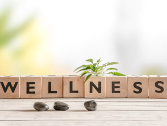 Czym jest wellness?