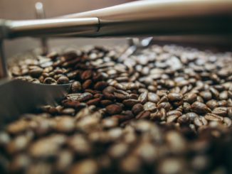 Kawa prosto z palarni – dlaczego jest najlepsza?