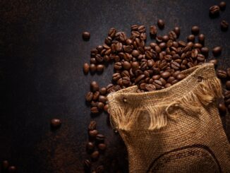 Arabika czy Robusta? Czym różnią się te dwa gatunki kawy?