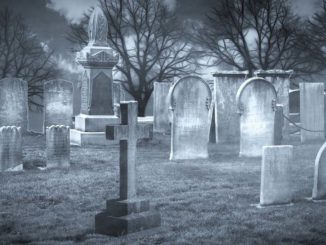 Cmentarz – sennik. Co oznacza cmentarz we śnie?