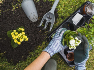 Wiosna w Twoim ogrodzie – jak odpowiednio przygotować się na sezon?