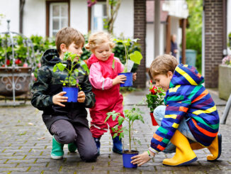 Zaangażuj dziecko do uprawy roślin – poznaj korzyści wynikające ze wspólnej pracy w ogrodzie